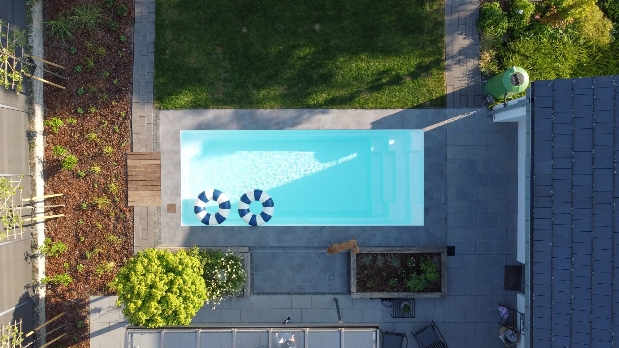Senkrechte Drohnenaufnahme eines Gartens: Becken mit heller Umrandung, dunkle Terrasse, Rasen, Beete, Haus am rechten Rand.
