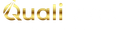 QualiLead System
